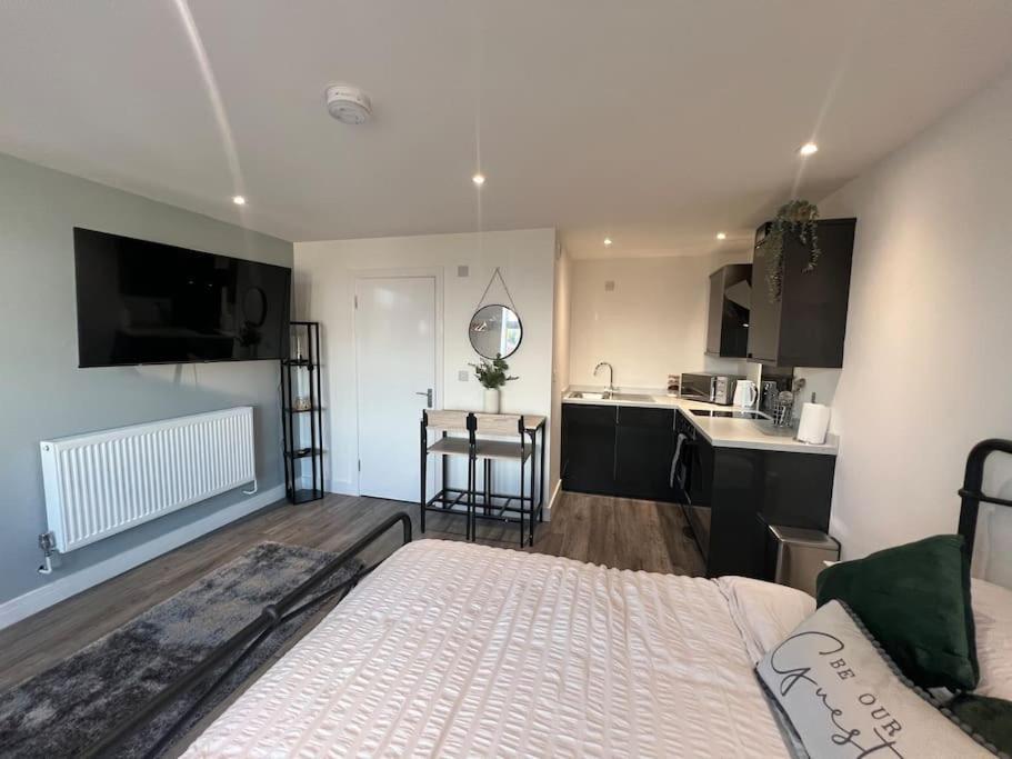 Abbotsbury 1 Bed Studio Opposite Uwe Free Parking ブリストル エクステリア 写真